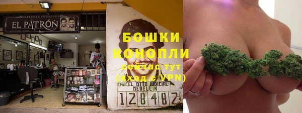 спайс Богородицк