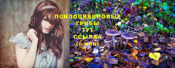 СК Богданович