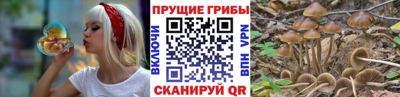 цены   Мостовской  Галлюциногенные грибы MAGIC MUSHROOMS 